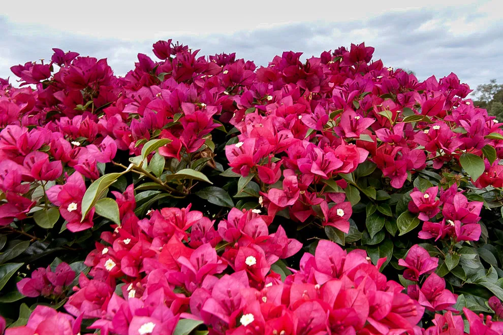 Inicio de la primavera con altas temperaturas y lluvias