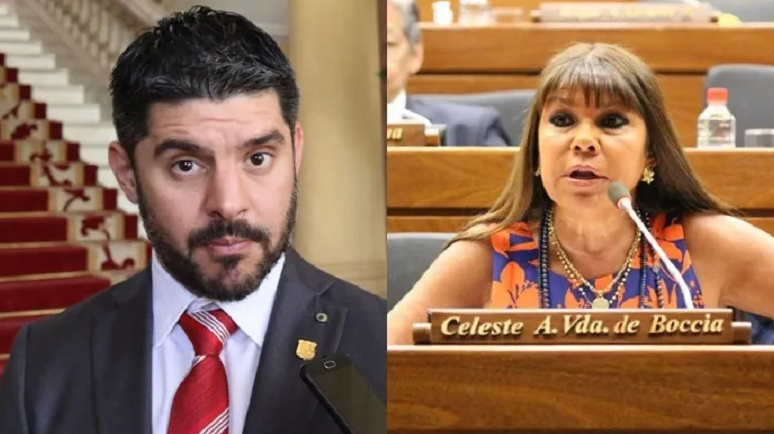 Celeste Amarilla querella a “Nenecho” Rodríguez