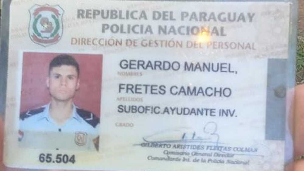 Triste: Lince muere en accidente de tránsito