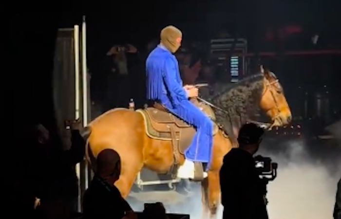 Bad Bunny escrachado por maltrato animal