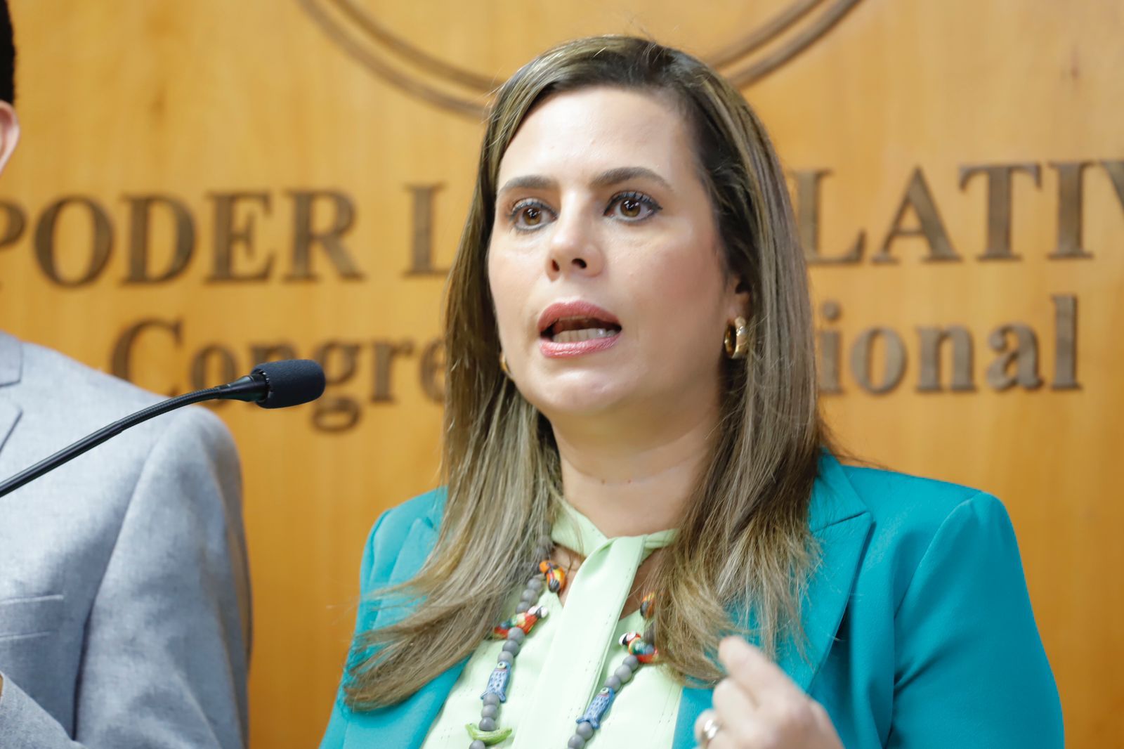 Causales de pérdida de investidura de Kattya González