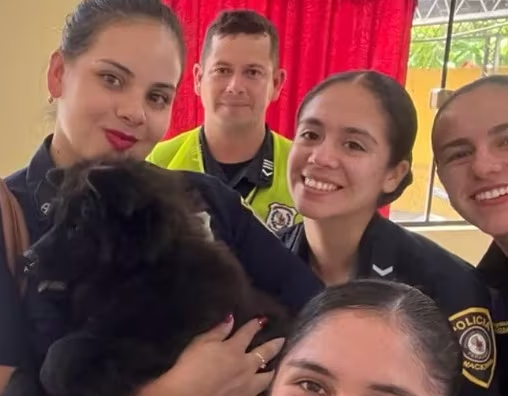 Capiatá: Robó costoso perro e intentó venderlo