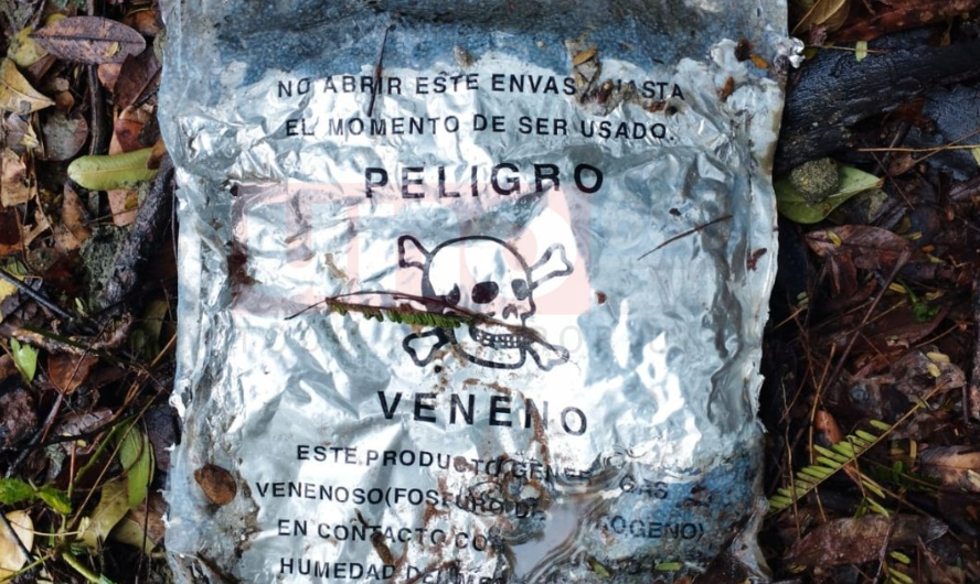 Encuentran sustancias altamente tóxicas en Ñemby