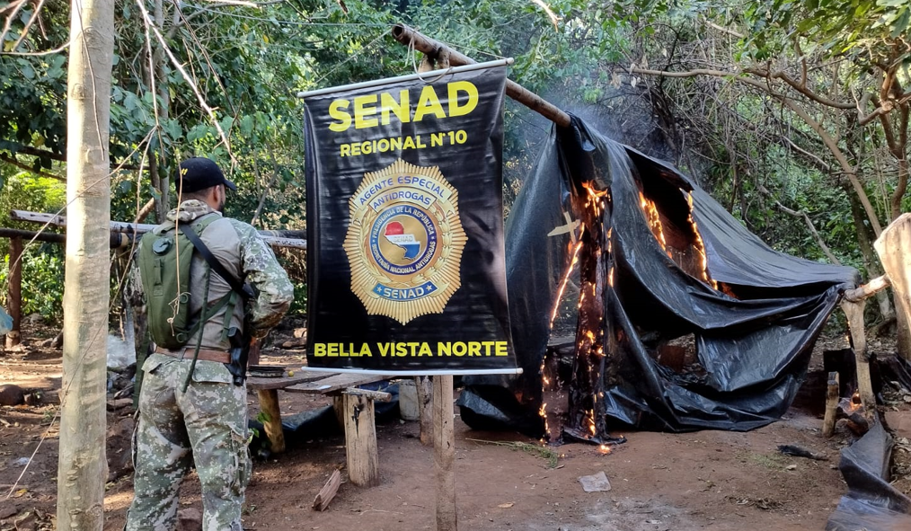 Eliminan toneladas de drogas en Bella Vista Norte