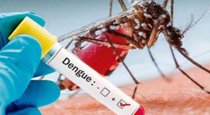 Alarmante casos de dengue en el país