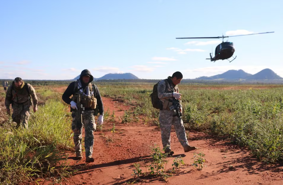Senad anula más de 100 toneladas de marihuana