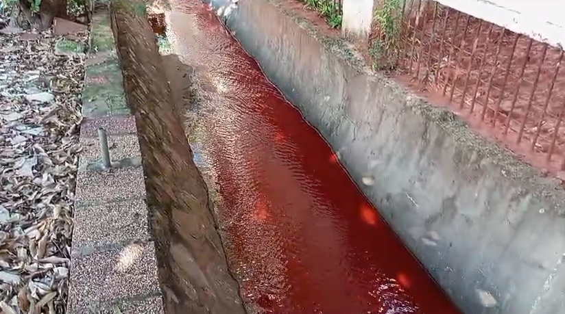 Arroyo se tiñó de rojo por culpa de farmacéutica