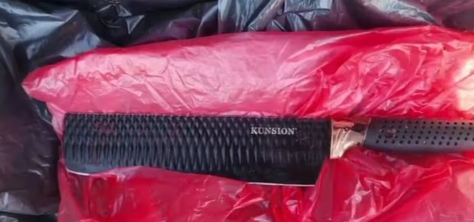 Liberan a Lince que mató a ladrón