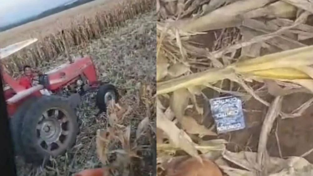 Comentarios polémicos de un brasileño sobre mujeres paraguayas