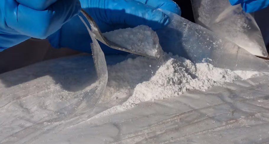 Senad incinera cocaína incautada en la Operación Dulzura