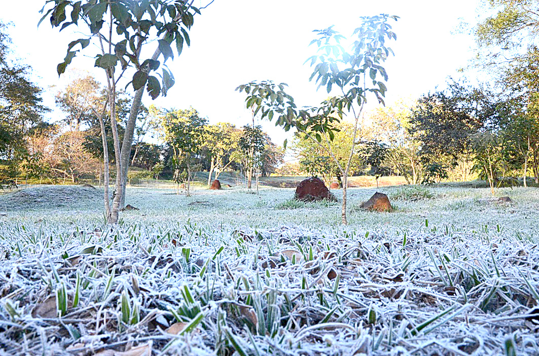 Pronostican heladas para los próximos días