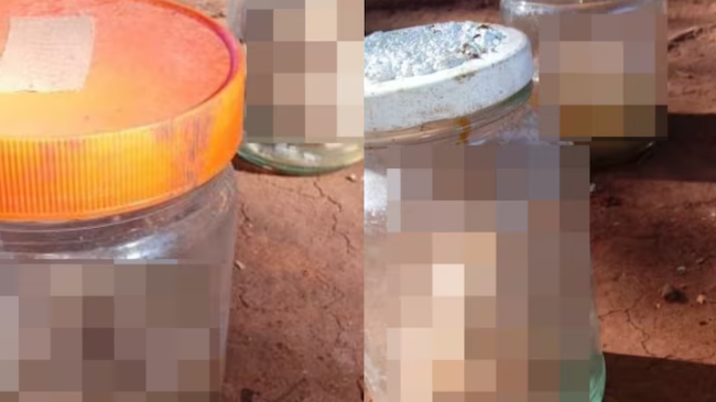 Macabro hallazgo de fetos en basural