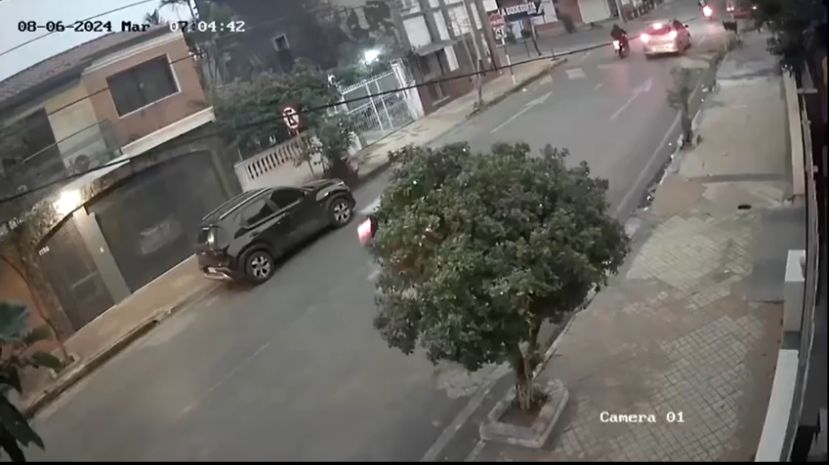 Linces fueron atropellados por un bus en Barrio Obrero