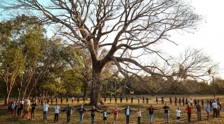 Un árbol y su peculiar guardián ganan la Mejor Fotografía de Naturaleza 2024