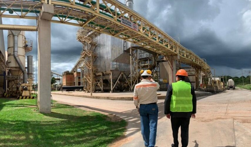 Impacto de la expansión de la industria aceitera en el crecimiento de la producción avícola y porcina en Paraguay