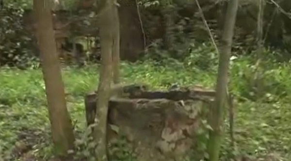 Limpio: Hallan el cuerpo de una mujer en un pozo