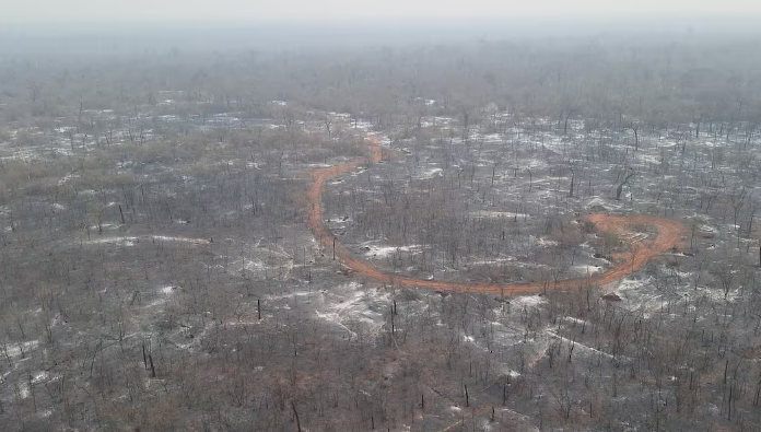 Controlan incendio forestal en Chovoreca tras 20 días de combate