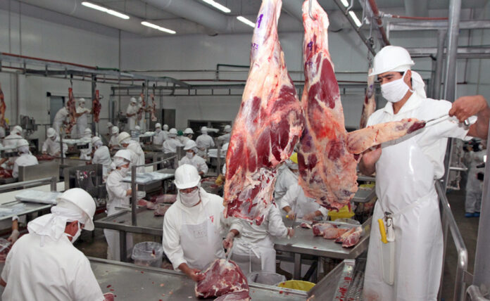 Informe de Senacsa sobre exportación de carne