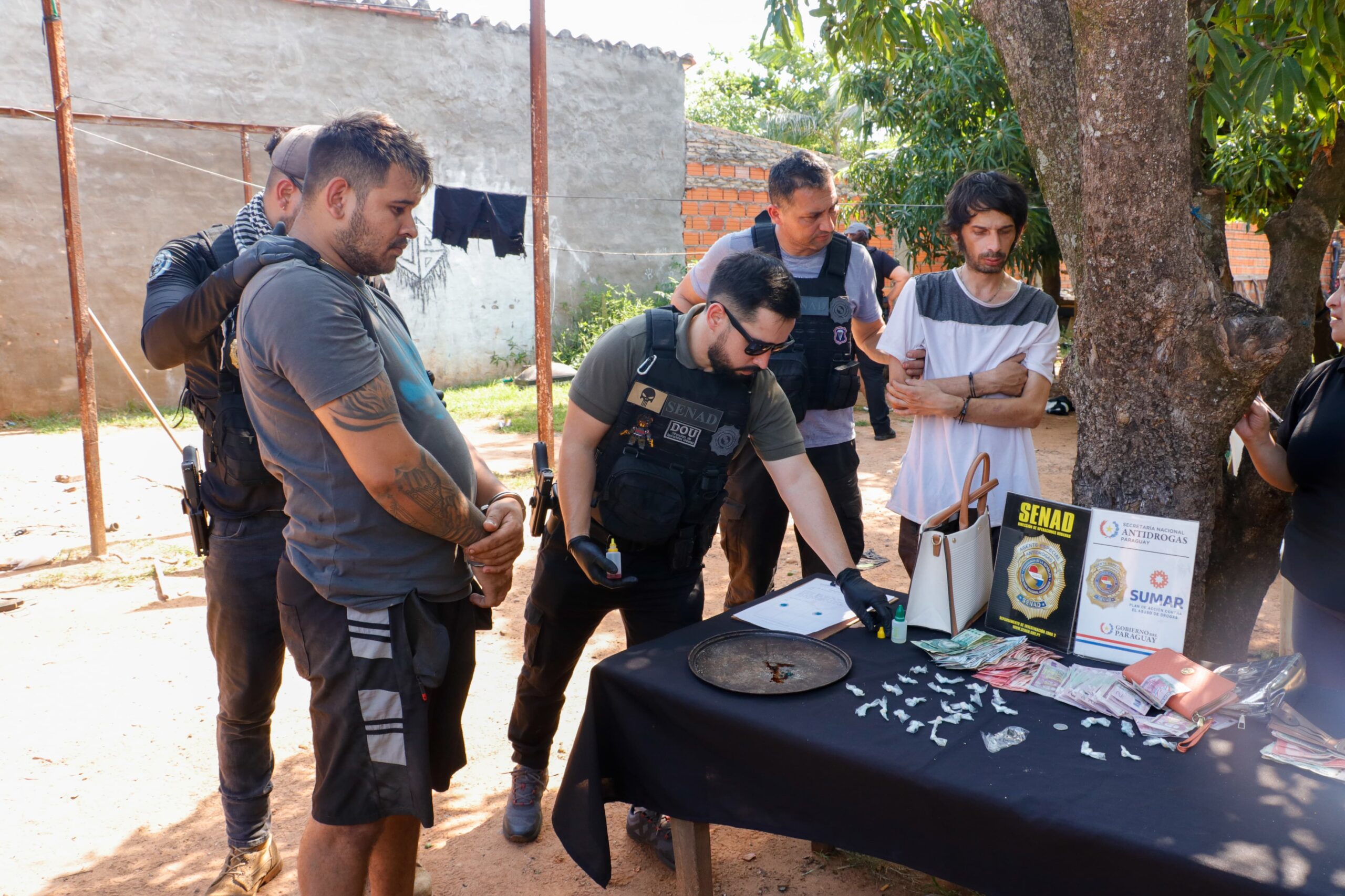 Senad incauta más de 10 mil dosis de drogas en operativos nacionales