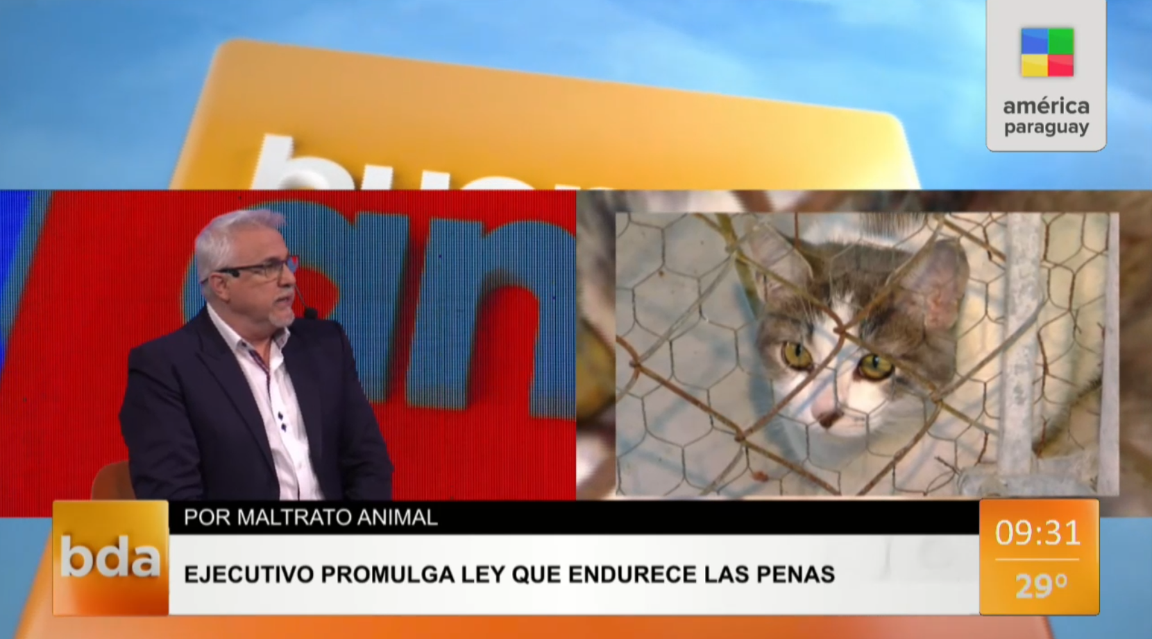 Se promulga ley que endurece las penas por maltrato animal