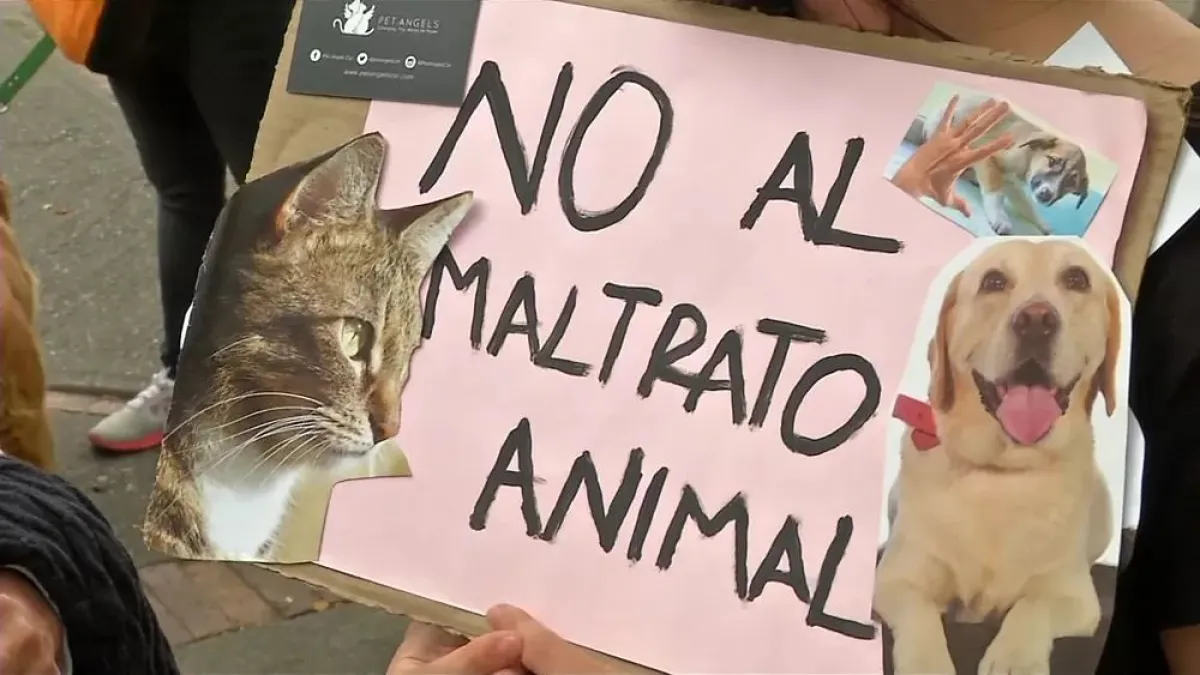 Ejecutivo promulga aumento a seis años de cárcel por maltrato animal