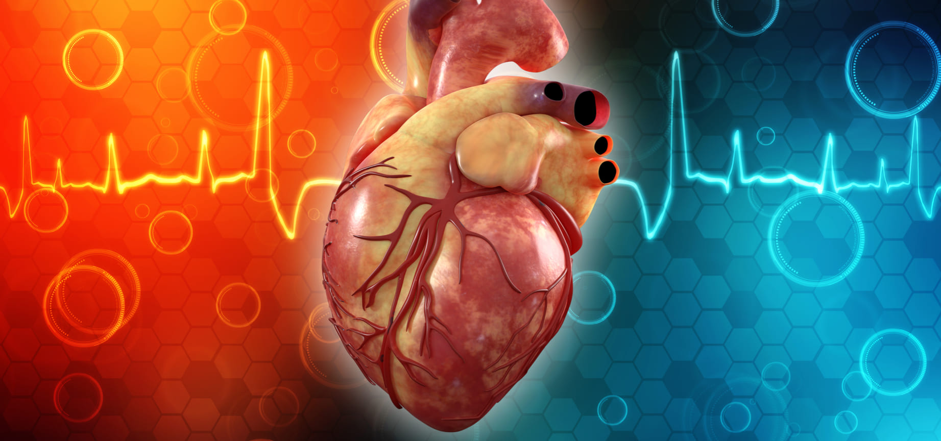 Triste adiós: niña de 2 años fallece esperando un donante