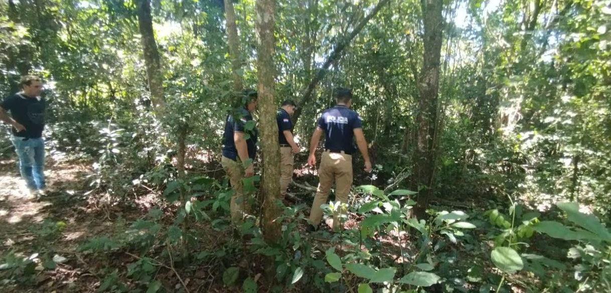 Hombre fallece en trágico accidente tras ser aplastado por un árbol