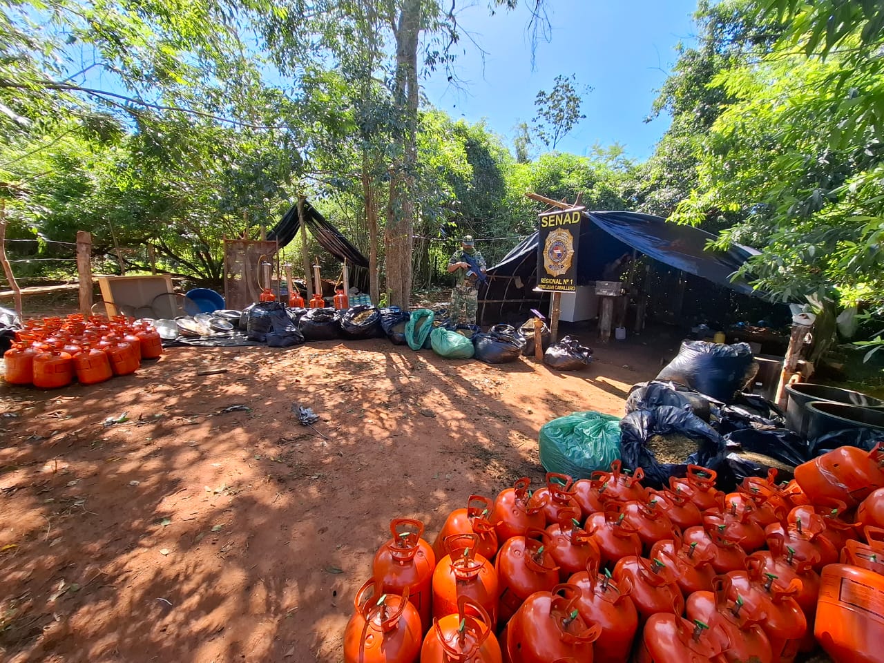 Desmantelan complejo de procesamiento de “marihuana VIP” en Amambay