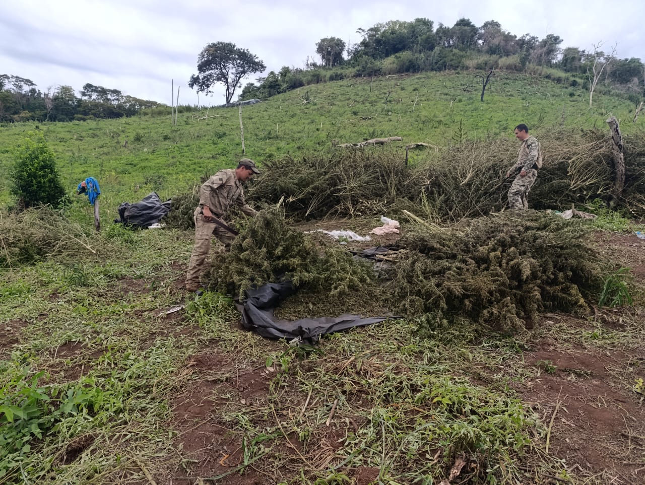 Paraguay y Perú fortalecen cooperación internacional en la lucha contra el narcotráfico