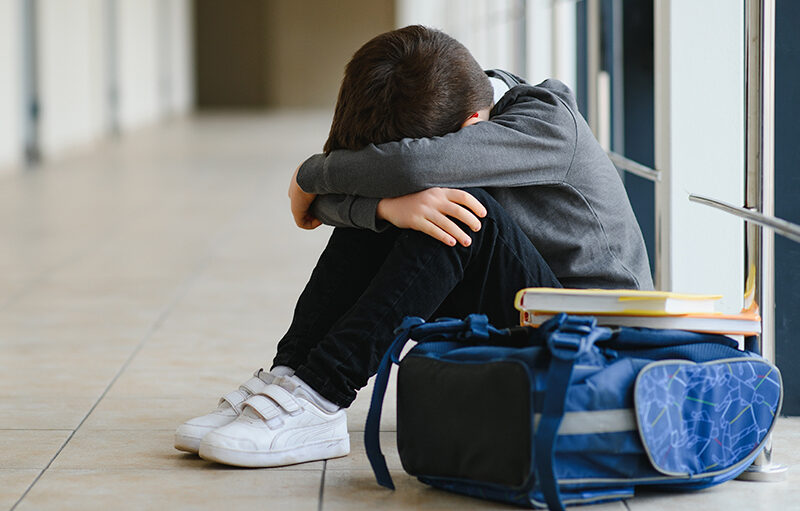 Entornos de aprendizaje seguros: Prevención y tratamiento de la violencia