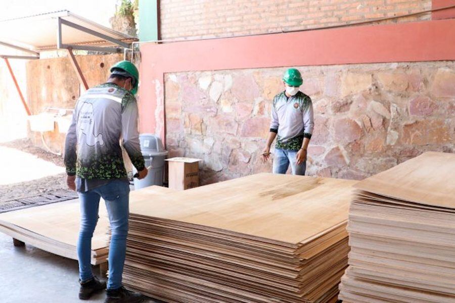 Paraguay expande su presencia global con récord en exportación de madera contrachapada