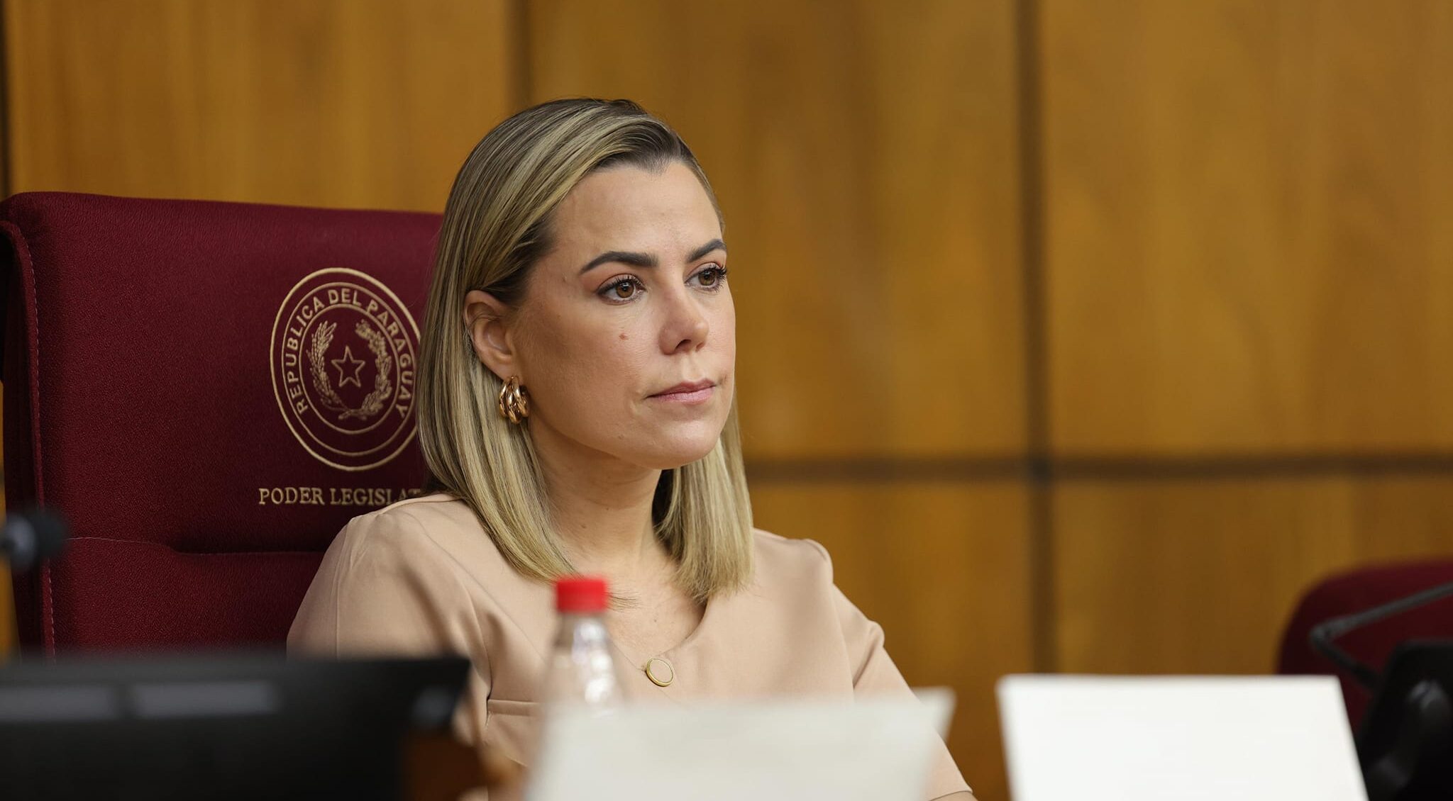 Protección a la niñez: Senado analizará proyecto de ley contra el criadazgo