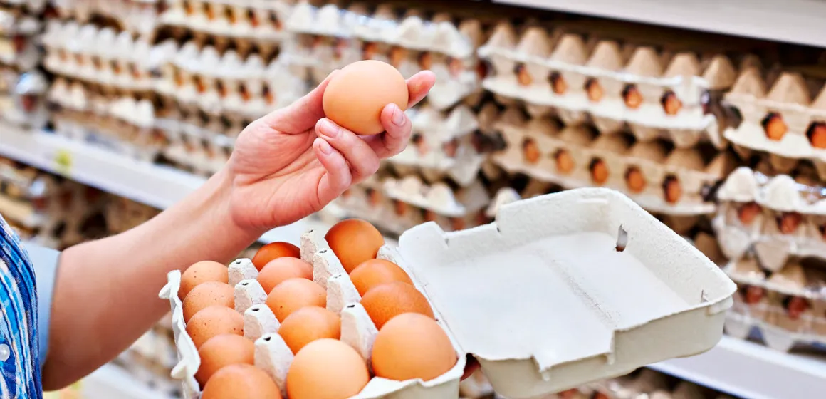 Paraguay logra acceso al mercado de Singapur para exportación de huevos nacionales