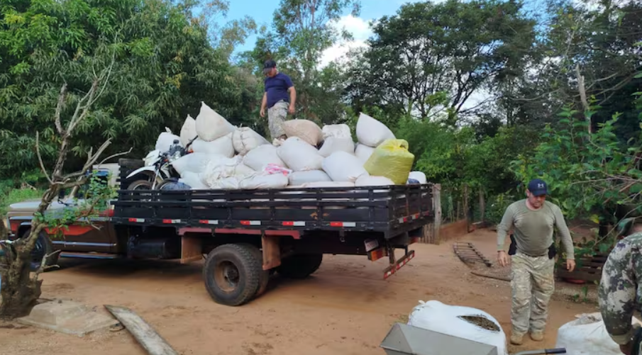 Senad elimina toneladas de marihuana en Capitán Bado