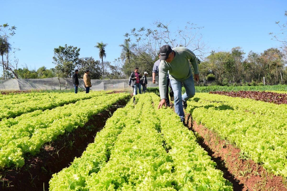 El MAG consolida su apoyo al desarrollo rural con asistencia a miles de productores