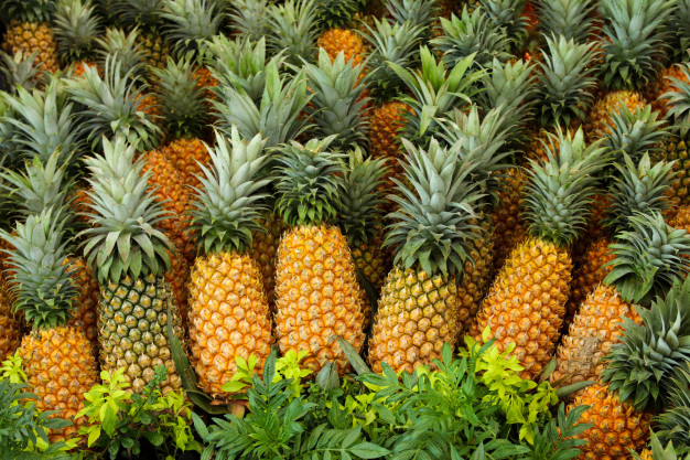El auge del cultivo de piña impulsa el crecimiento económico rural