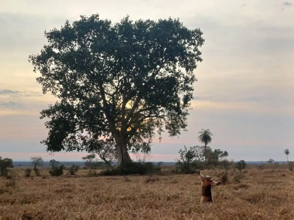 Mejor Fotografía de Naturaleza (2024)