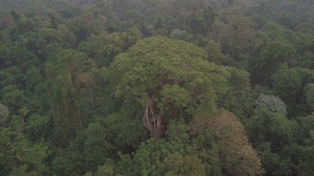 “Patrimonios del Paraguay”: Colosos de la Tierra une historia, comunidad y naturaleza en su nueva edición