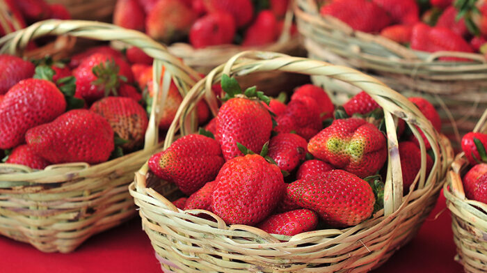 Ruta de la frutilla: El dulce atractivo de Areguá y alrededores