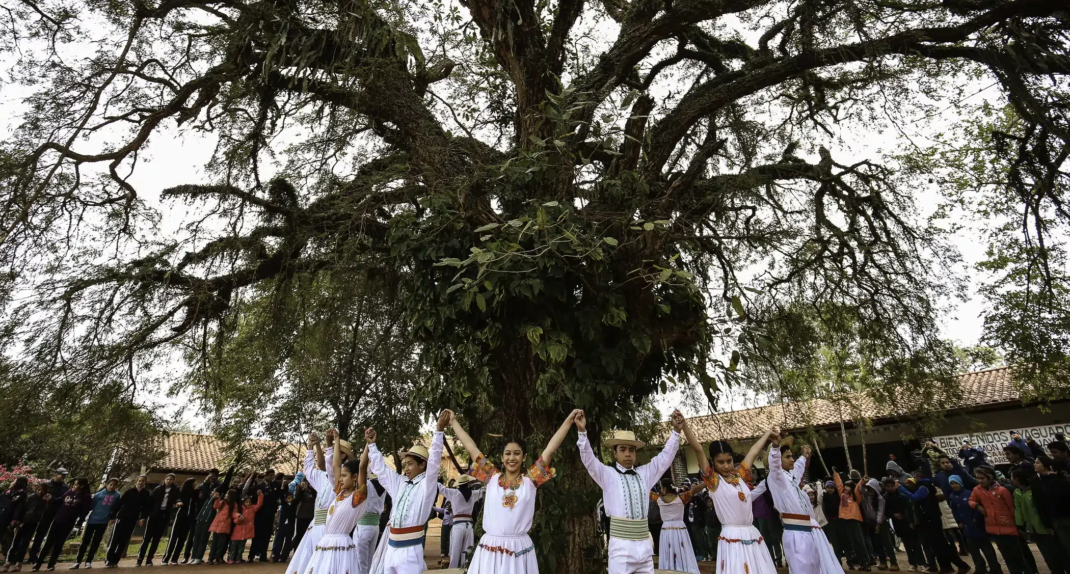Casi 2.000 postulaciones marcan nuevo hito en Colosos de la Tierra