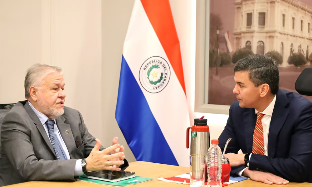 Peña descarta remover a Jorge Brítez de la presidencia del IPS