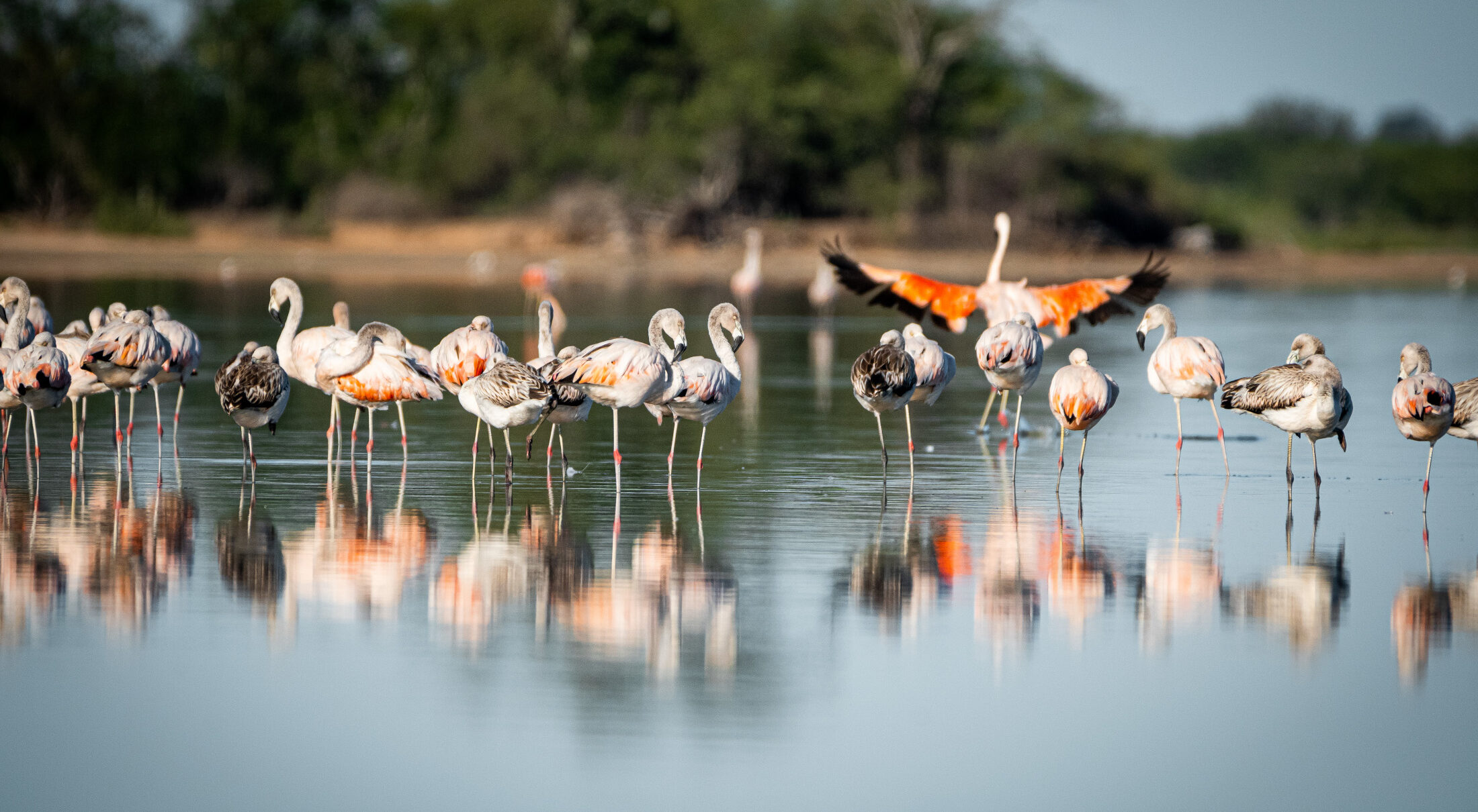 Registur y Digitalia: Las apuestas tecnológicas que modernizan el turismo nacional