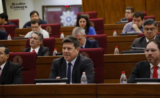 Ministro aclara que proyecto no busca privatizar la ANDE