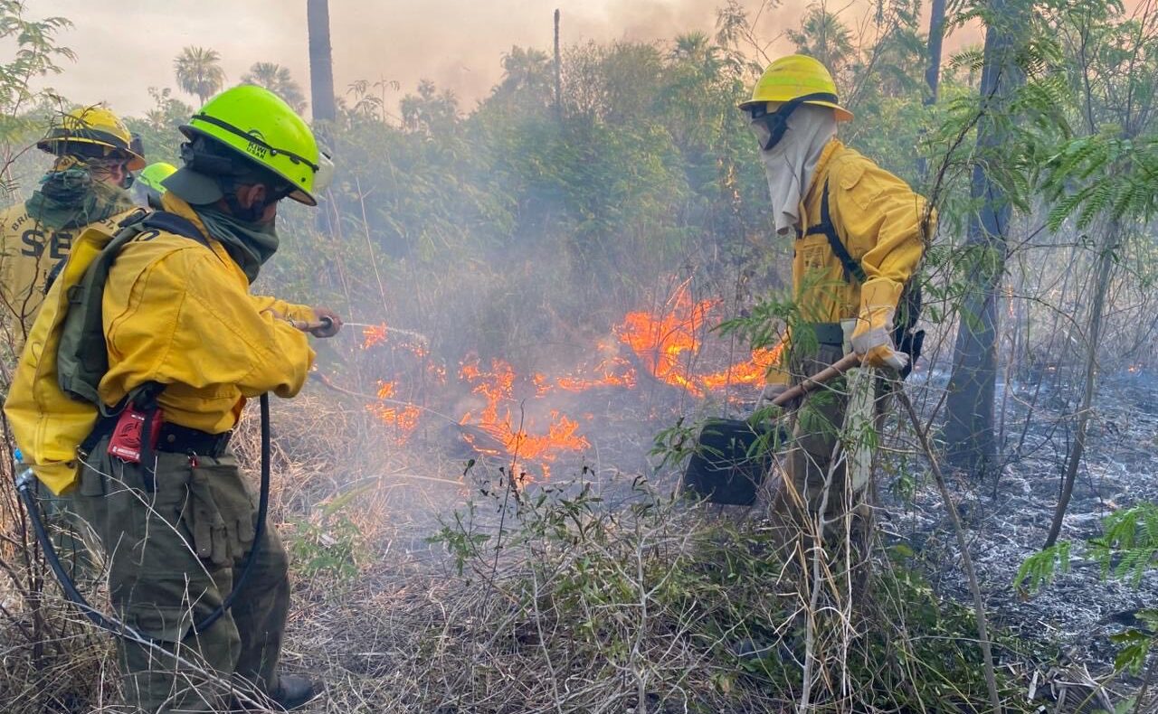 Bomberos combaten incendio que afectó más de 16.000 hectáreas en Bahía Negra