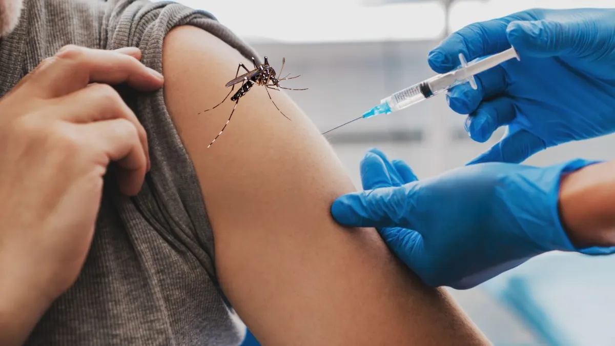 Llega la vacuna contra el dengue: Inmunización arranca en noviembre