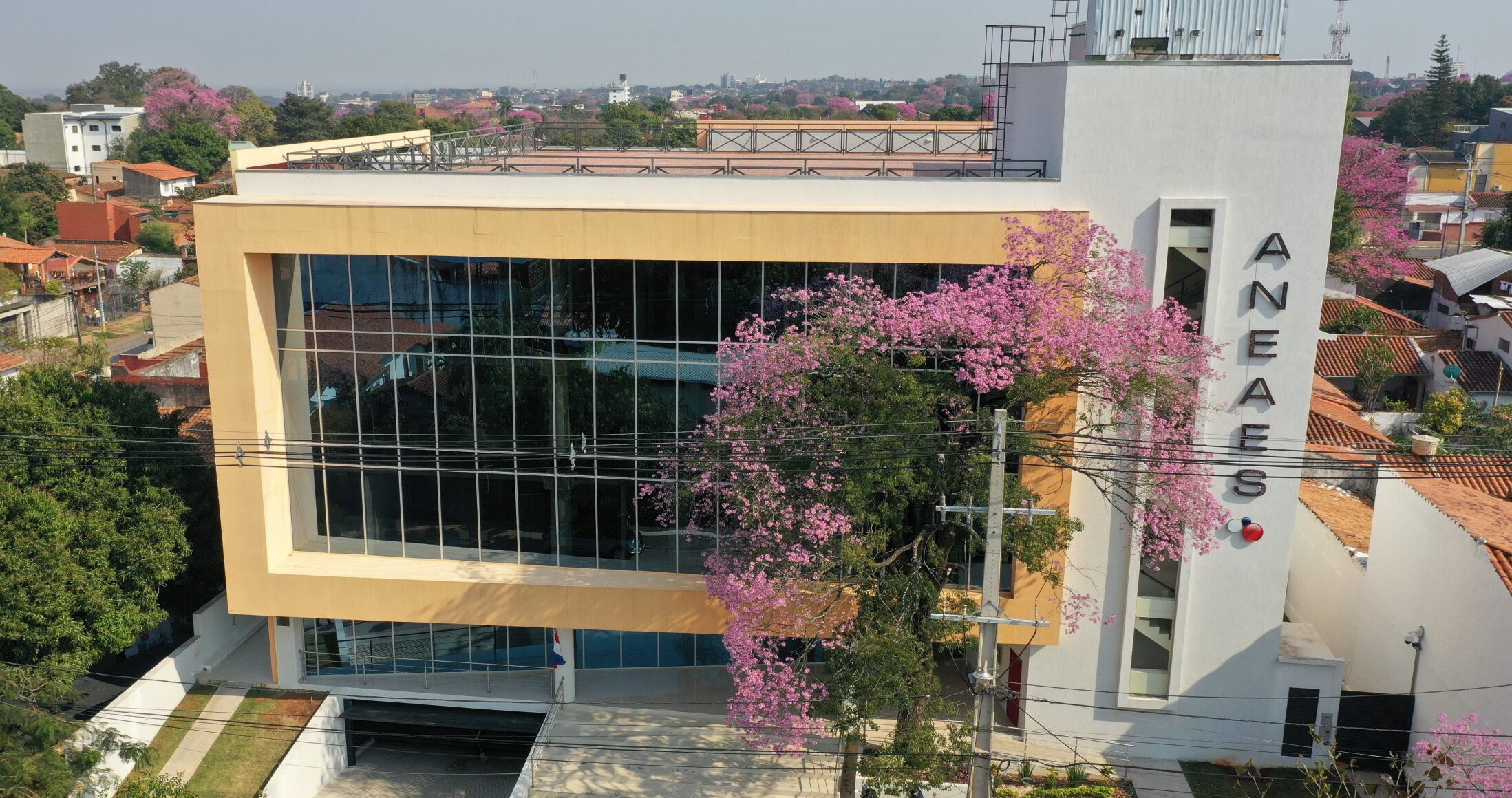 ANEAES marca un récord histórico con 195 evaluaciones en 2025