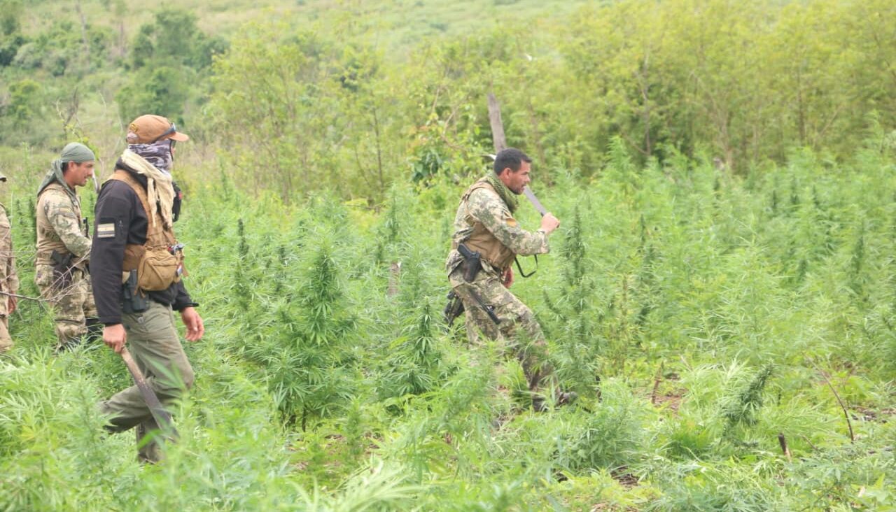 Culmina la Operación “Nueva Alianza 53” con uno de los mayores golpes al narcotráfico del año