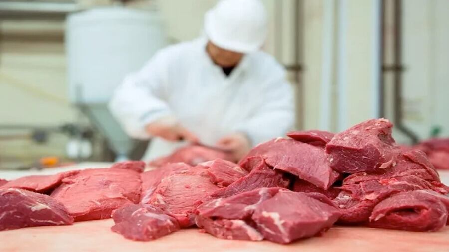 Paraguay registró ingresos por USD 2.255 millones en exportaciones de origen animal