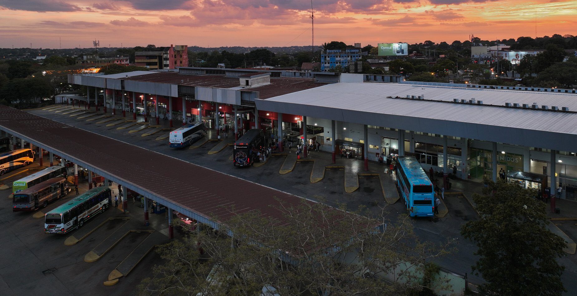 Fin de año con mayor oferta de transporte: Dinatran libera horarios de buses