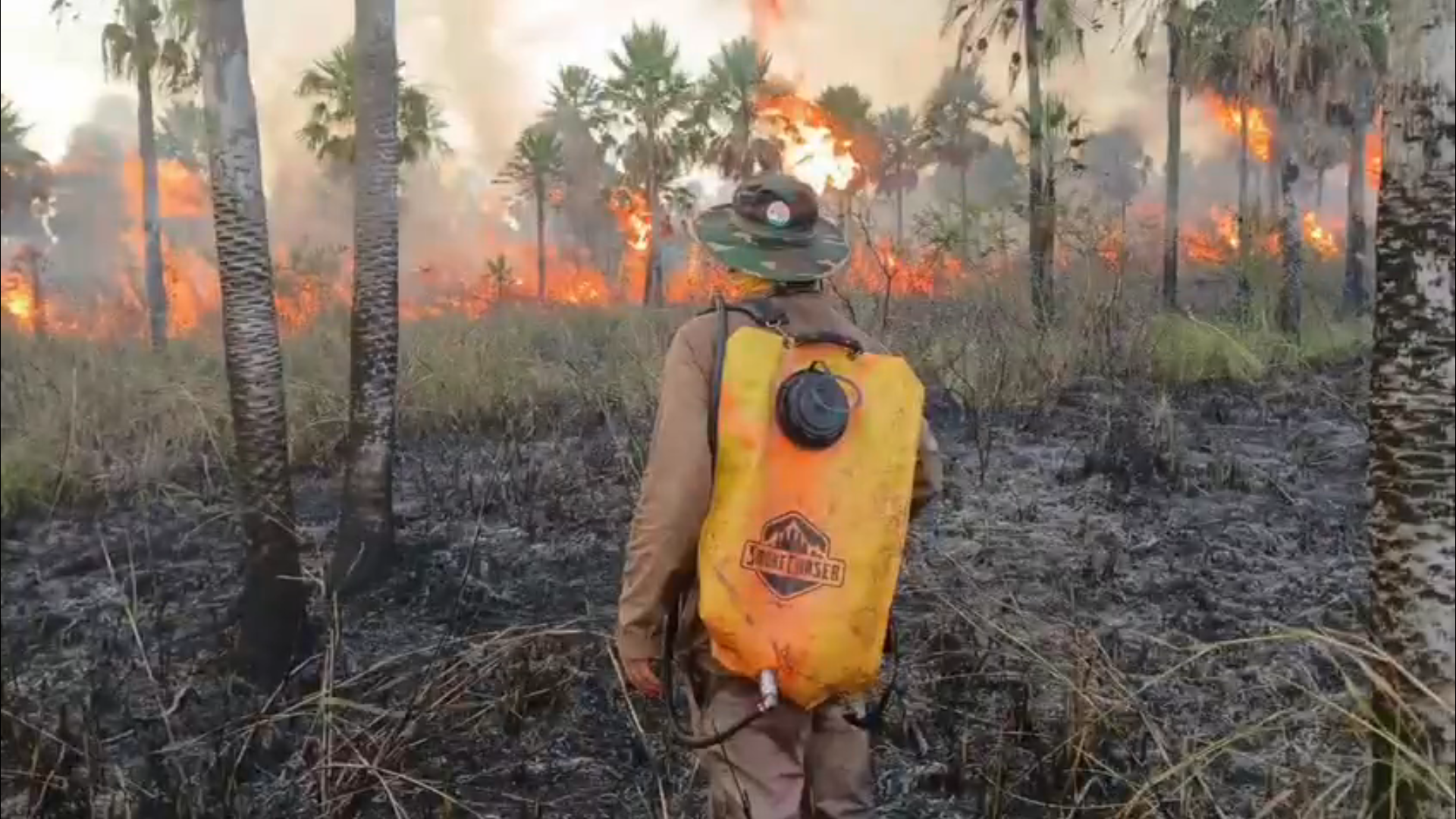 Incendio arrasa grandes hectáreas en la Reserva Natural Aguapey